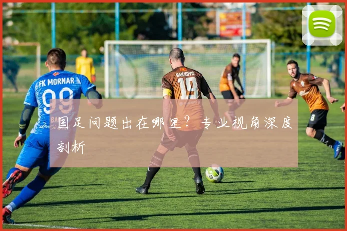 国足问题出在哪里？专业视角深度剖析