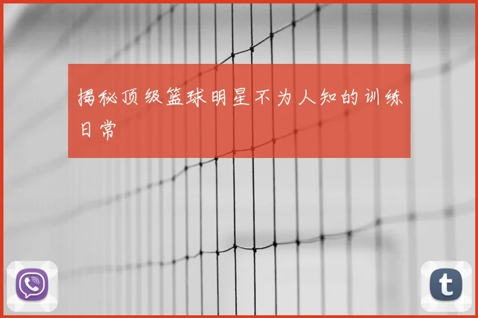 揭秘顶级篮球明星不为人知的训练日常